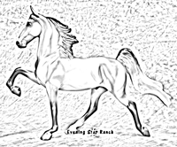 Breyer Classic American Saddlebred