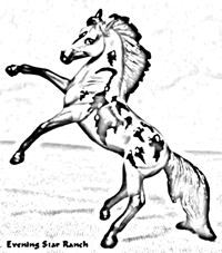 Breyer Stablemate Rearing Andalusian
