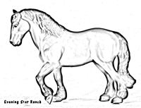 Breyer Stablemate Clydesdale Stallion