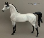 Stone Horses Arabian