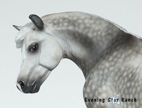 Breyer Traditional Welsh Mare Custom by Sheryl Leisure