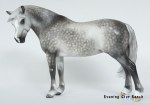 Breyer Traditional Welsh Mare Custom by Sheryl Leisure