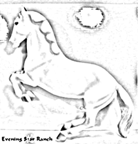 Breyer Classic Lipizzan Stallion