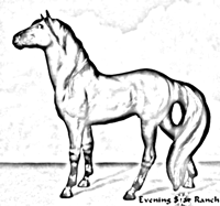 Breyer Classic Mesteno