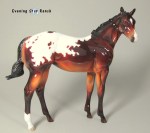 Stone Horses Weanling