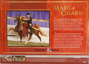 Breyer Traditional Racking Saddlebred Stallion - 1847 Marc of Charm