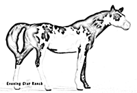 Breyer Stablemate Thoroughbred Mare