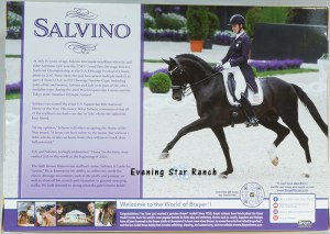 Breyer Traditional Totilas - B-TR-10120 Salvino
