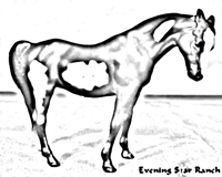 Breyer Stablemate Arabian Mare