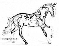 Breyer Traditional Cantering Warmblood