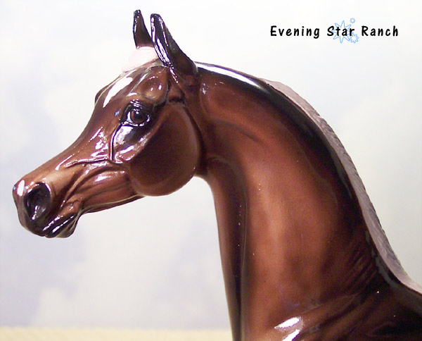 Stone Arabian - Cheveron