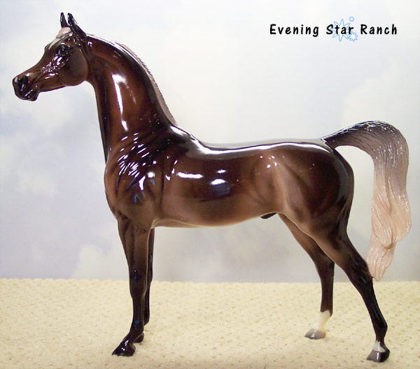 Stone Arabian - Cheveron