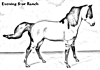 Breyer Classic Mesteno's Mother