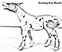 Breyer Stablemate Mule