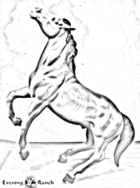 Breyer Traditional Semi-Rearing Mustang