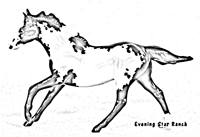 Breyer Stablemate Seabiscuit