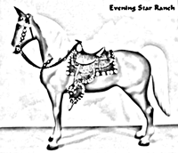 Breyer Traditional Western Horse