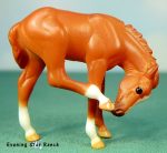 Breyer Stablemate Scratching Foal - 5655