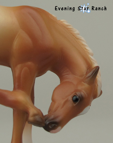 Breyer Stablemate Scratching Foal - 5884
