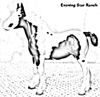 Breyer Traditional Clydesdale Foal