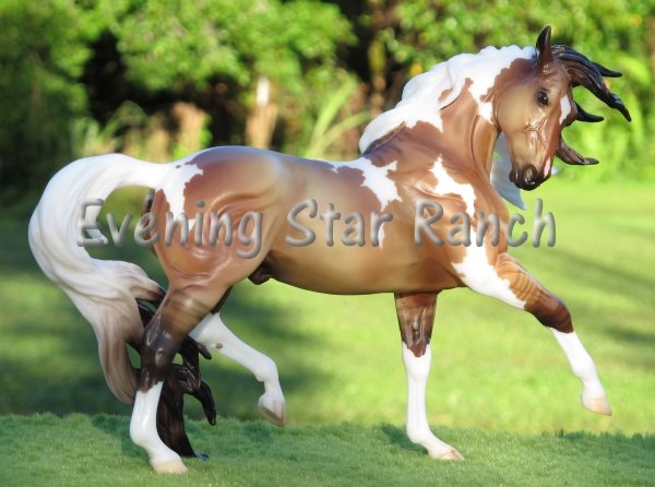 Breyer Traditional Esprit - Samba Surprise 711238