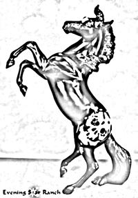 Breyer Traditional Silver