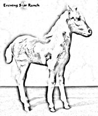 Breyer Traditional Stormy